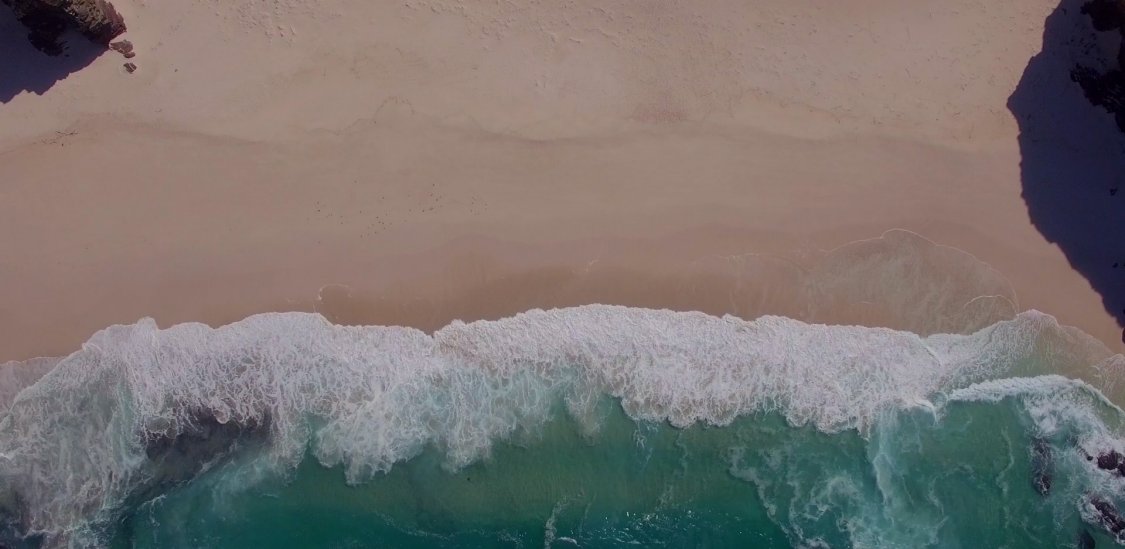 WTM Africa Travel & Tourism Expo in South Africa