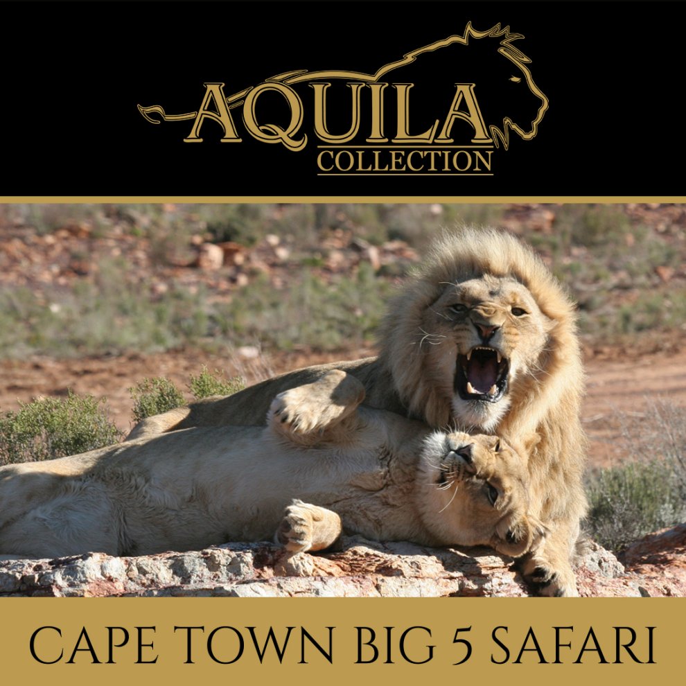 Aquila Collection