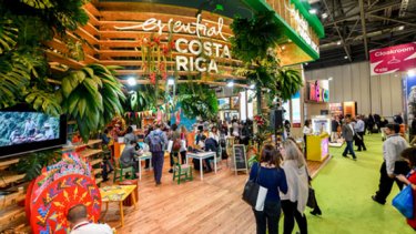 The Costa Rica stand at World Travel Market, with wood panels and foliage between them