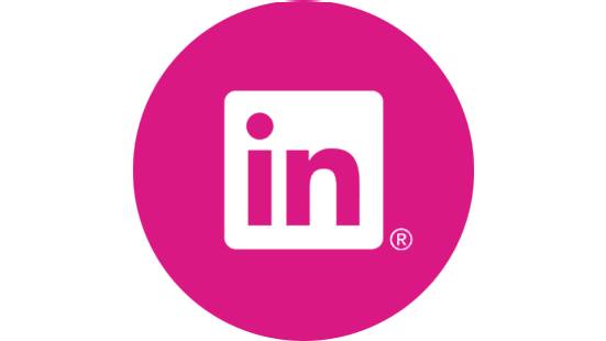 linkedin icon