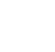 Egypt Premier Partner
